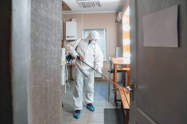 Best Mold-Related Health Consultation  in Calhoun, GA