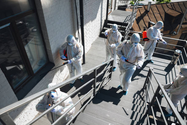 Best Industrial Mold Remediation  in Calhoun, GA