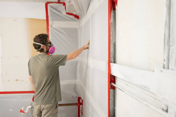 Best Asbestos and Lead Testing During Mold Inspection  in Calhoun, GA