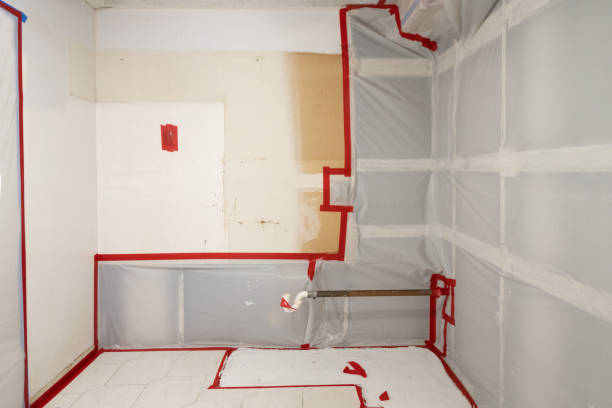 Best Water Damage & Mold Remediation  in Calhoun, GA