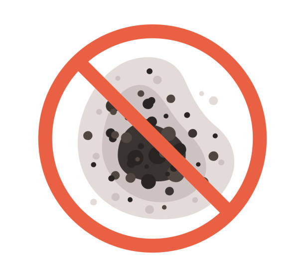 Best Airborne Mold Testing  in Calhoun, GA