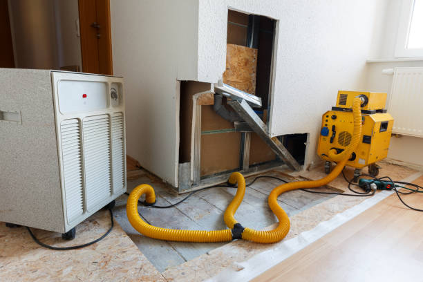 Best Forensic Mold Investigation  in Calhoun, GA